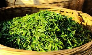 2024滅火器行業(yè)發(fā)展現(xiàn)狀及進出口市場分析(圖2)