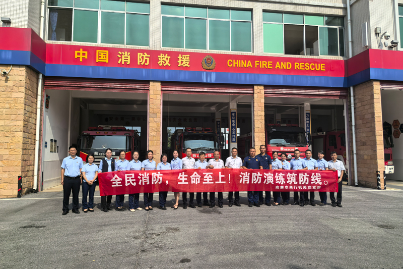 鹿寨消防聯(lián)合舉辦“全民消防、生命至上”主題黨日活動(dòng)(圖3)