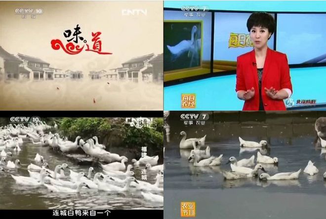 冬天使勁吃它！號稱“天然滅火器”超滋補(bǔ)、膽固醇還低！(圖12)