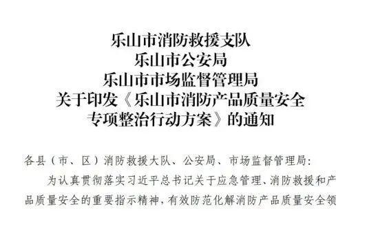 奮楫揚(yáng)帆行致遠(yuǎn) 勇立潮頭譜新篇｜樂山消防2024年度工作紀(jì)實(shí)(圖8)