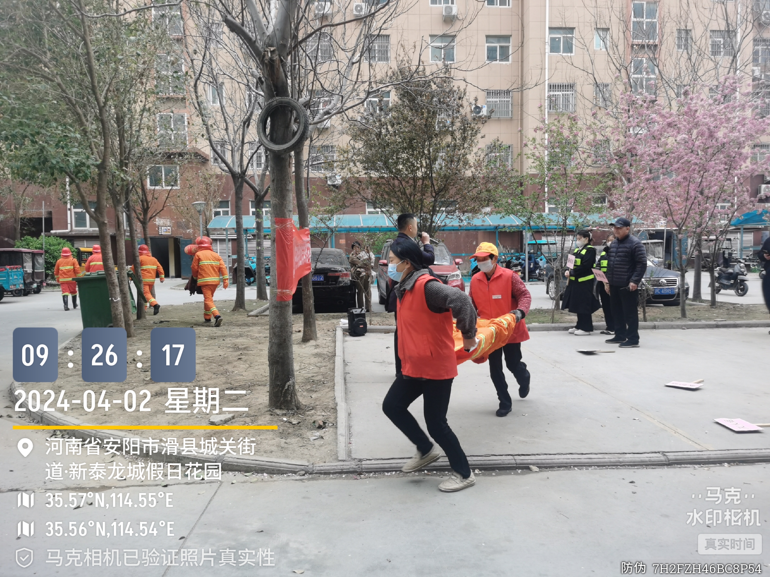廣西藤縣象棋鎮(zhèn)人大監(jiān)督支持政府工作 惠民生重實效(圖1)